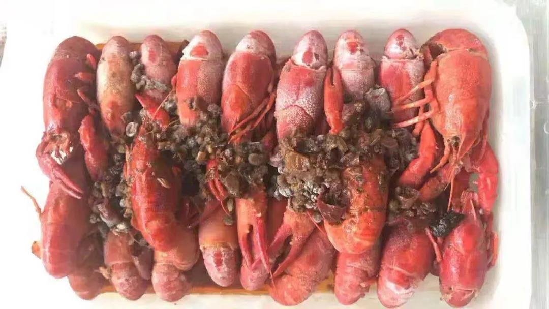 1619316774671864.jpg 1619316774671864.jpg