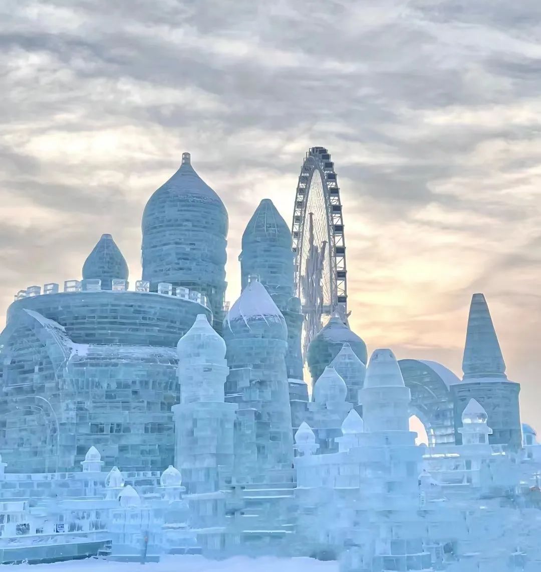 1705886720820306.jpg 1705886720820306.jpg