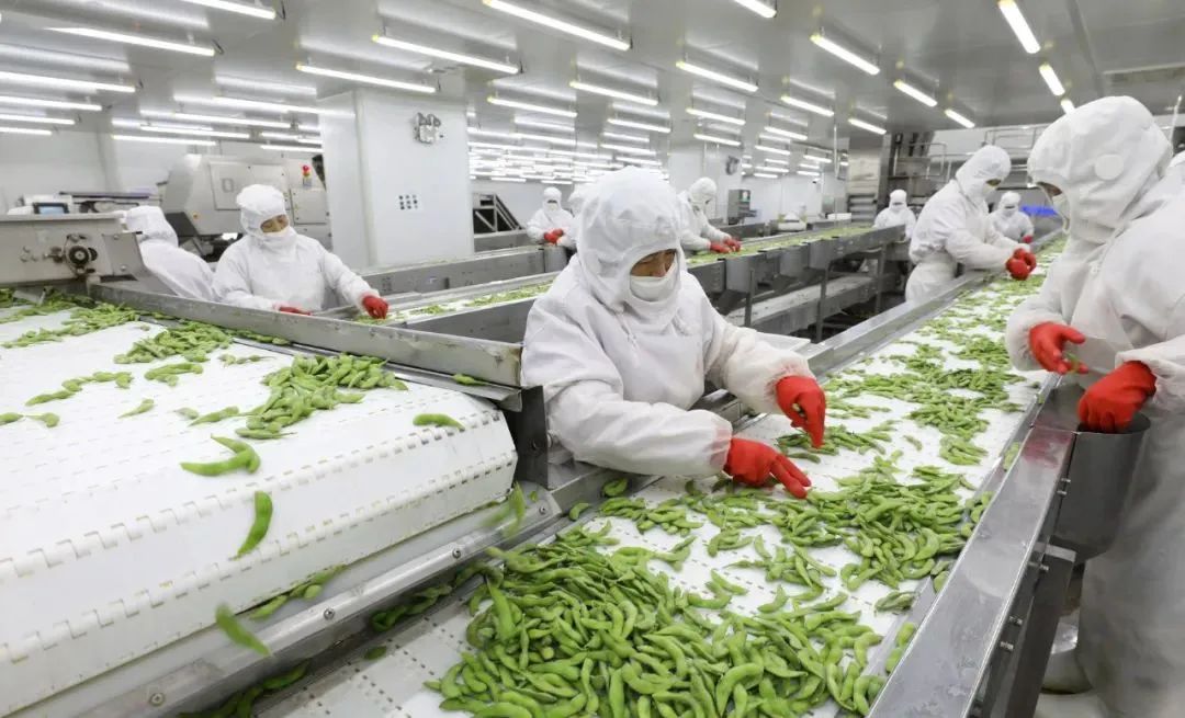 1708482388322783.jpg 1708482388322783.jpg