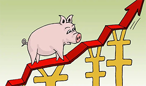 牧原、溫氏、新希望…業(yè)績(jī)大漲,扭虧為盈,豬企龍頭集體走出“至暗時(shí)刻”?