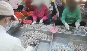 3·15晚會曝光凍蝦仁超量添加保水劑,相關(guān)企業(yè)產(chǎn)品下架