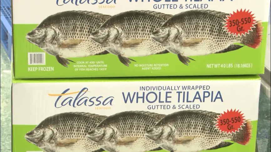 1745205319845029.png 3895068eaa09daf6356acc9f5b53c6ba.png