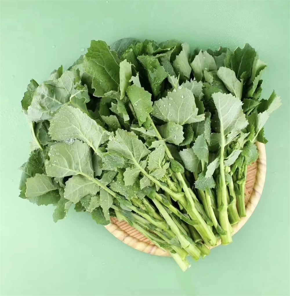 1758183510373832.jpg 1758183510373832.jpg